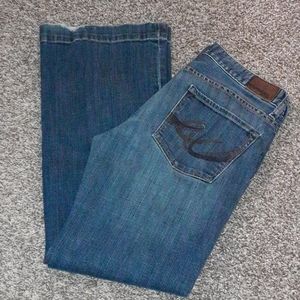 Express Jeans Flare 10R